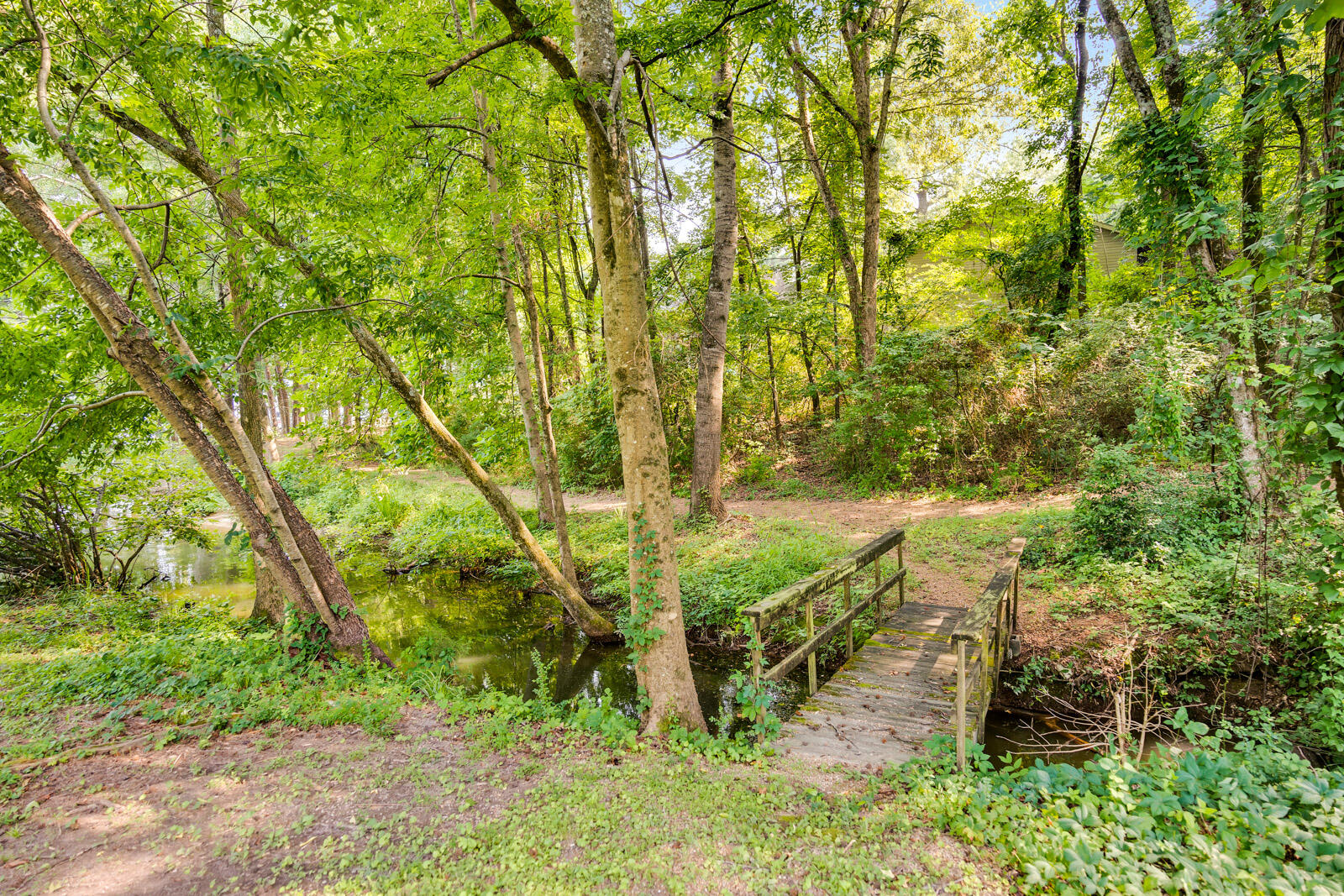 9227 Rocky Point Road Soddy Daisy, TN 37379 - Photo 29 of 35 Wooded Trail