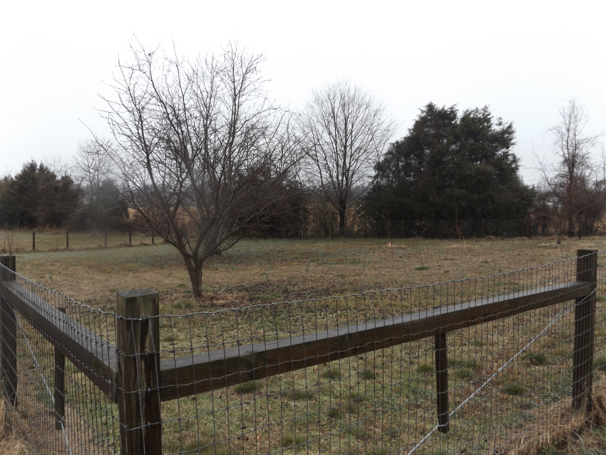2707 Liberty Valley Road Lewisburg, TN 37091 - Photo 3 of 19 Gallery Image 3