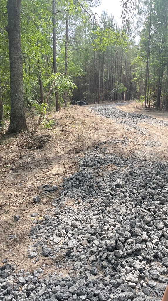 0 Columbus Road Rembert, SC 29128 - Photo 3 of 5 Photo 3