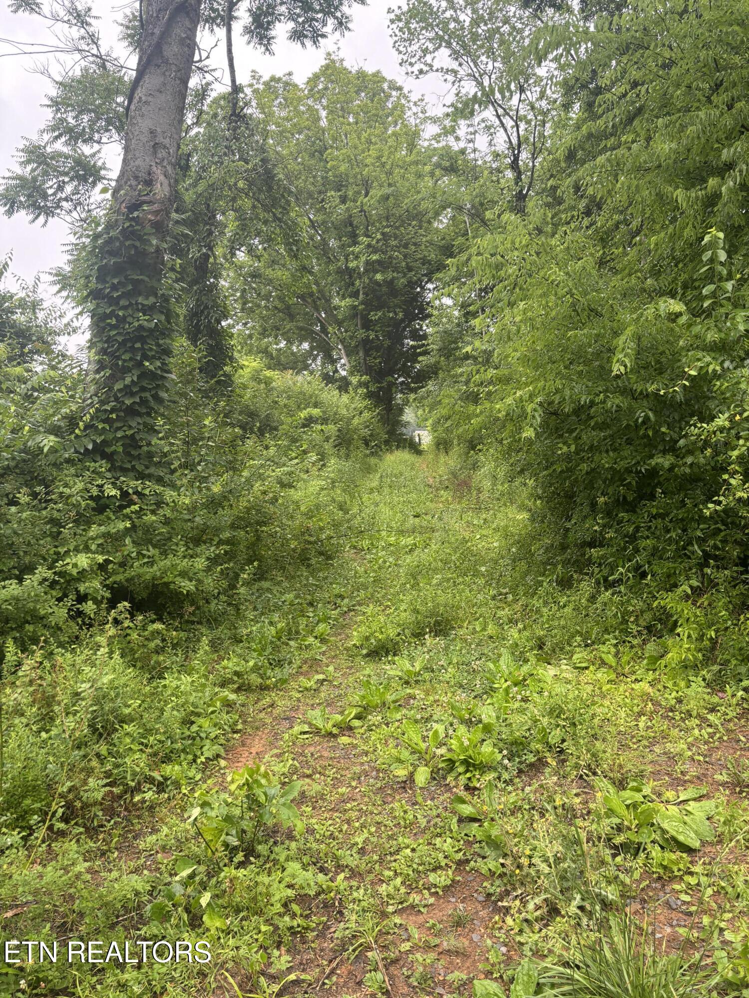 Morrell Springs Road Newport, TN 37821 - Photo 12 of 18 IMG_0077