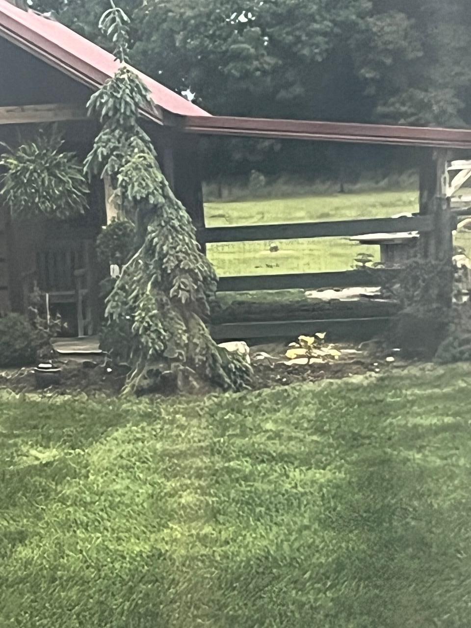 18939 I Drive North Marshall, MI 49068 - Photo 39 of 50 IMG_3038