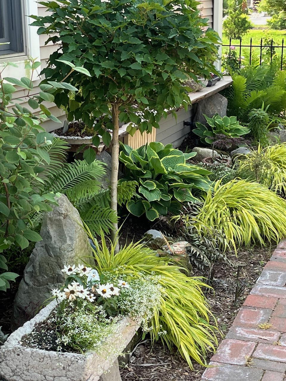 18939 I Drive North Marshall, MI 49068 - Photo 45 of 50 IMG_7101