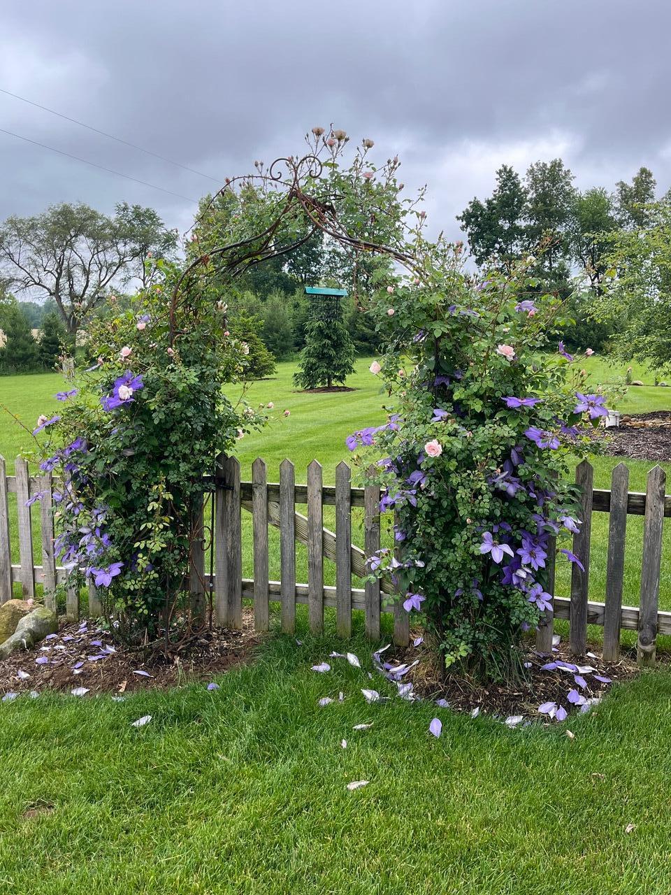 18939 I Drive North Marshall, MI 49068 - Photo 47 of 50 IMG_6563