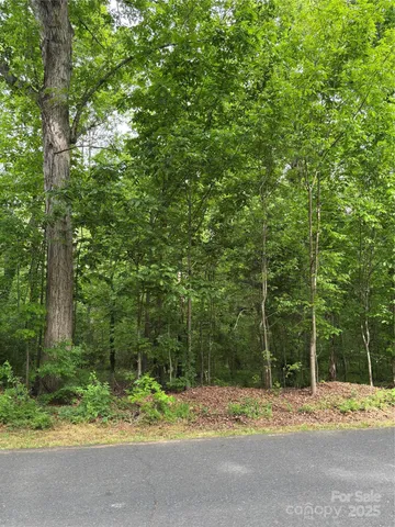 a view of a yard with plants and trees