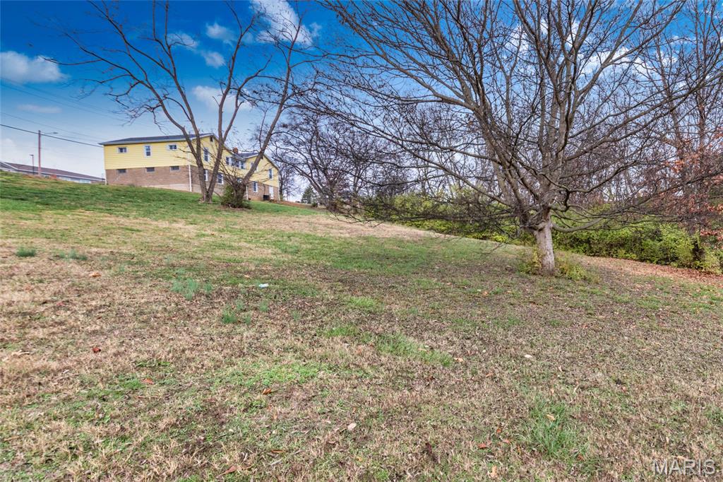 1756 Old Lemay Ferry Road Arnold, MO 63010 - Photo 43 of 55