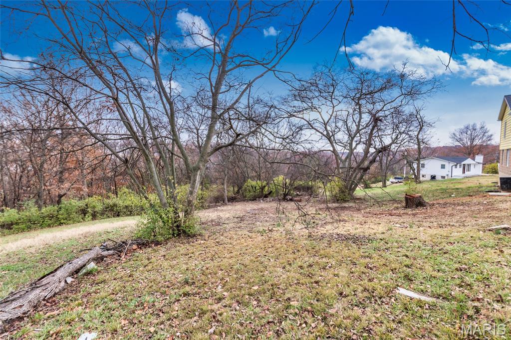 1756 Old Lemay Ferry Road Arnold, MO 63010 - Photo 50 of 55