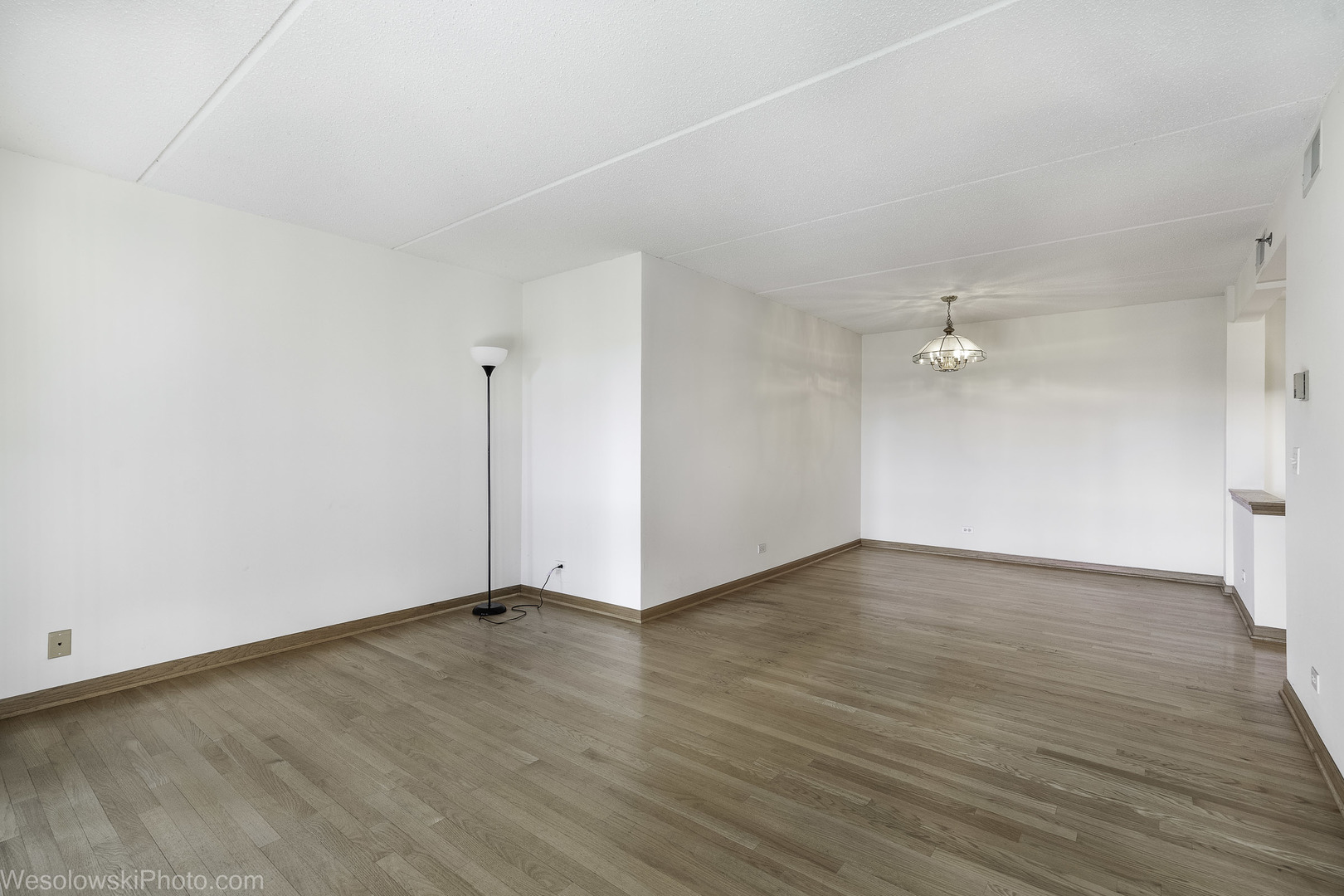 7450 Waukegan Road, Unit 206 Niles, IL 60714 - Photo 7 of 26 a view of an empty room with wooden floor