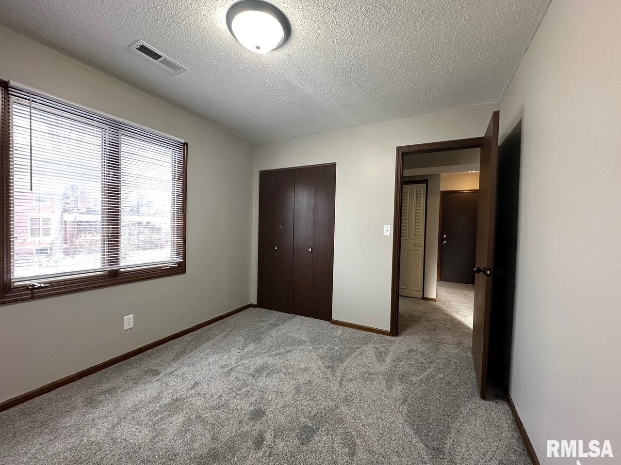 1001 South 1st Street, Unit 4 Springfield, IL 62704 - Photo 5 of 11