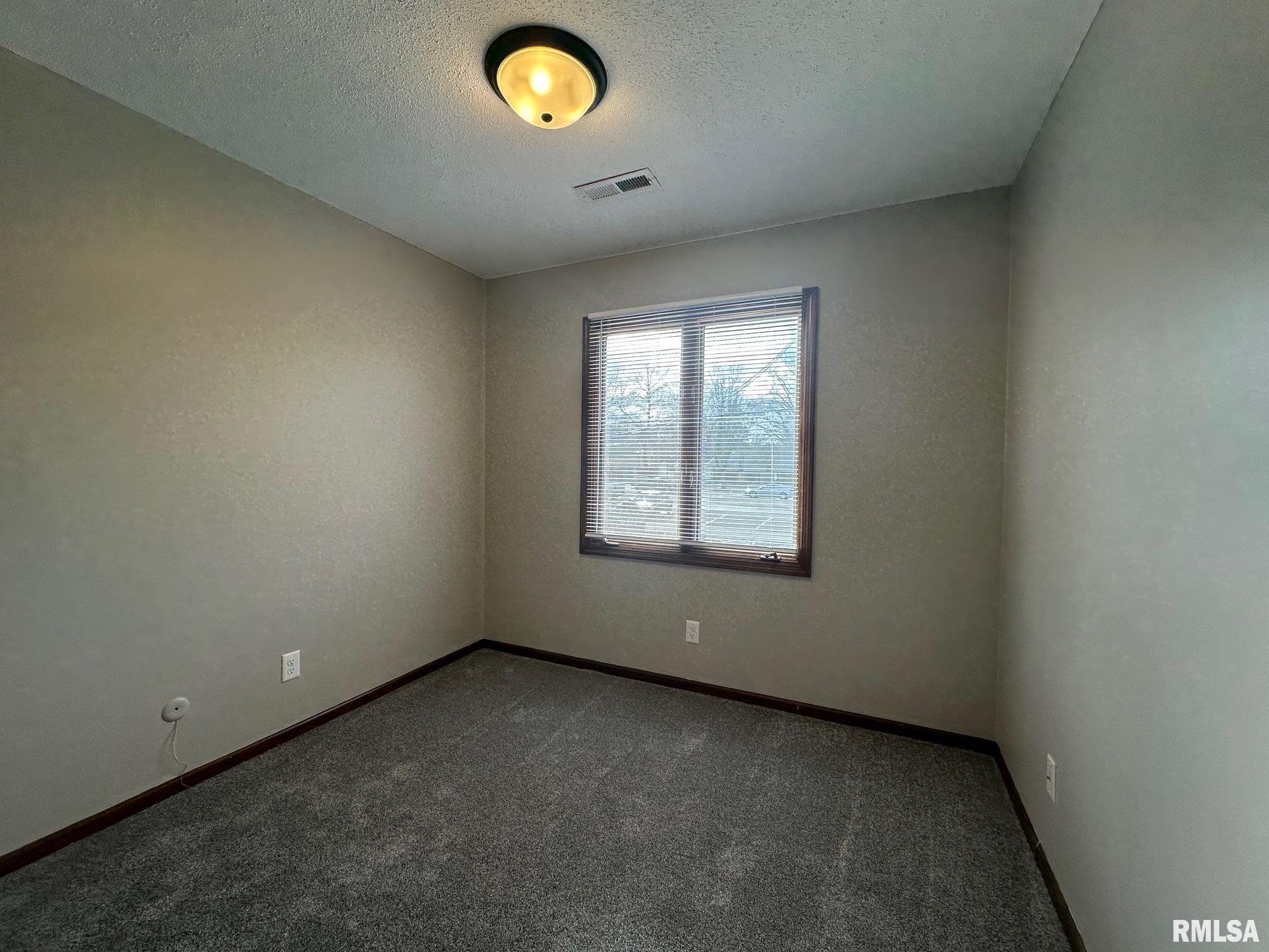 1001 South 1st Street, Unit 4 Springfield, IL 62704 - Photo 8 of 11