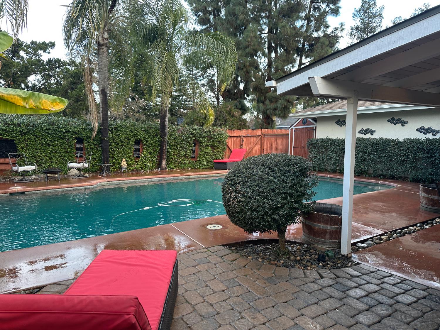 394 South Oak Drive Reedley, CA 93654 - Photo 35 of 47