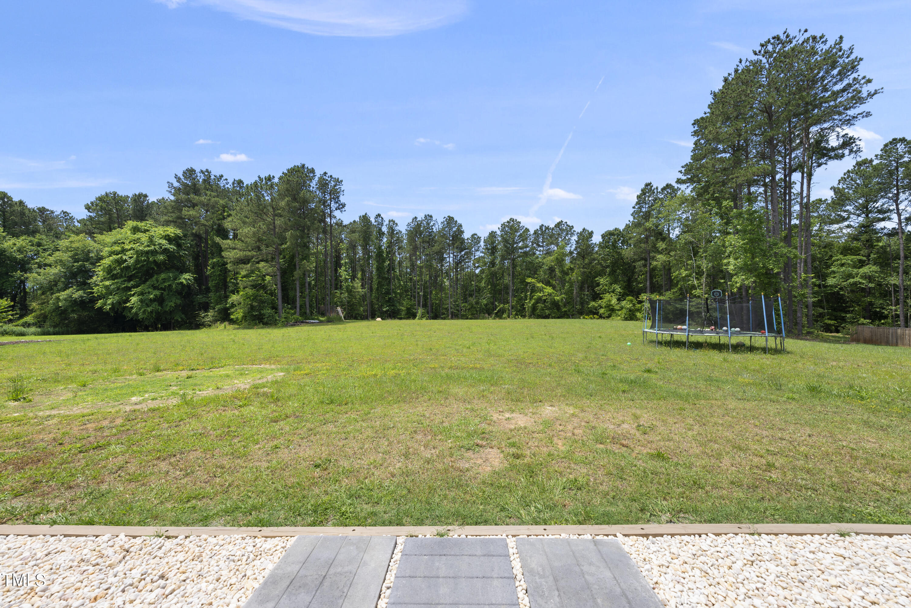 401 Sunrise Ridge Drive Willow Spring, NC 27592 - Photo 3 of 48 DSC01909