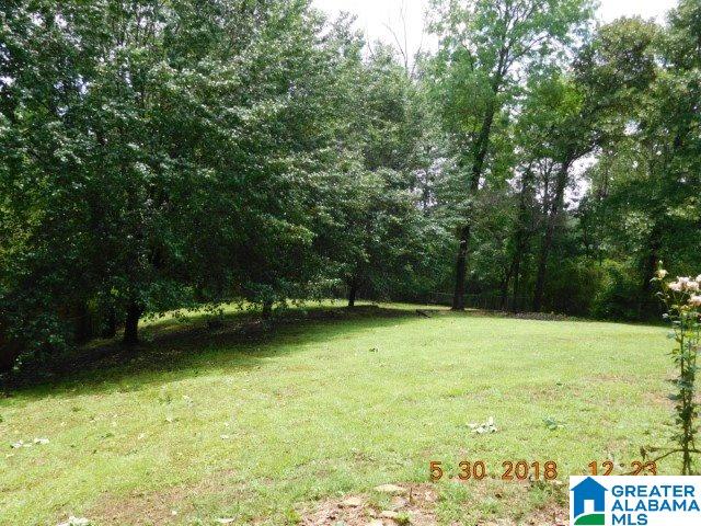 7335 Roper Tunnel Road Trussville, AL 35173 - Photo 2 of 23
