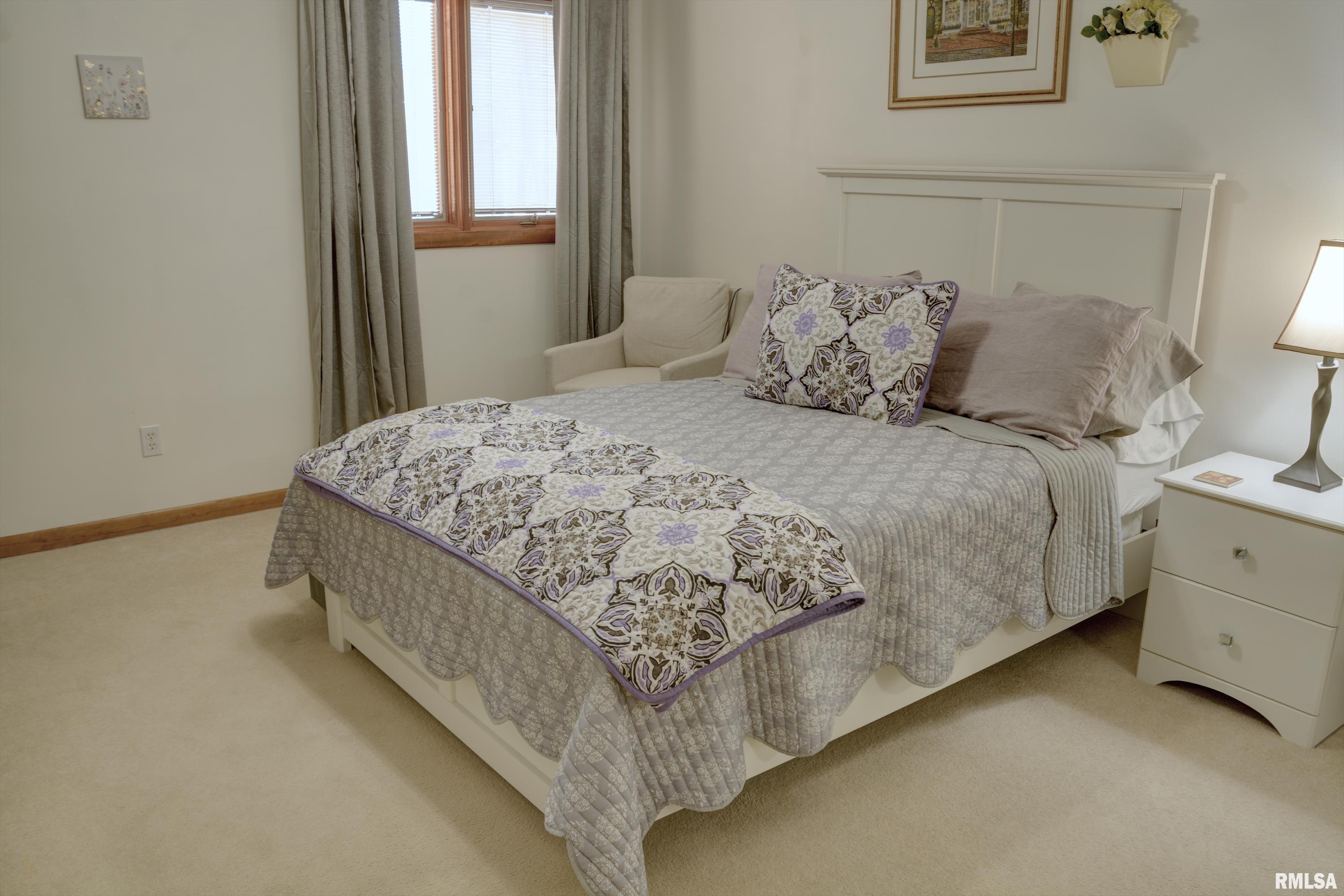 217 Scotch Pine Drive Macomb, IL 61455 - Photo 17 of 21