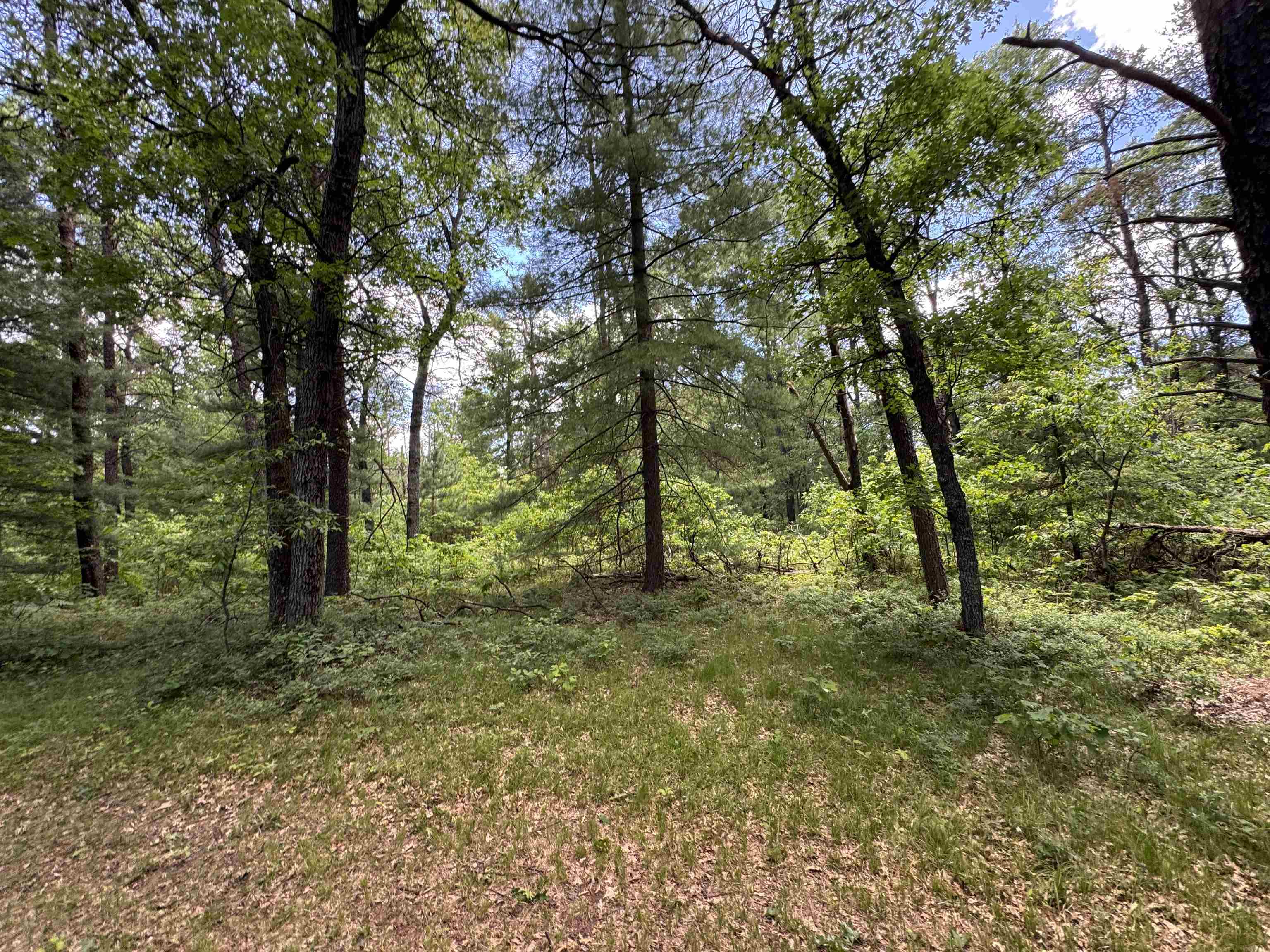 3308 South Morrison Road West Branch, MI 48661 - Photo 7 of 56