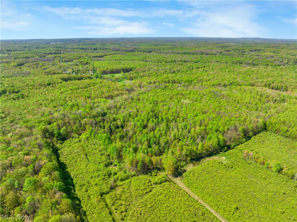 Balch Road Thompson, OH 44086 - Photo 5 of 11 Expansive parcel featuring diverse tree coverage and open clearings