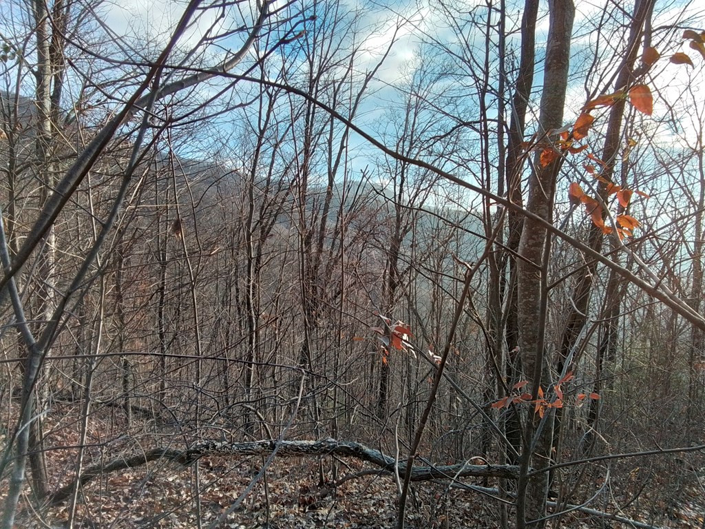 1500 Bear Mountain Road Murphy, NC 28906 - Photo 4 of 5