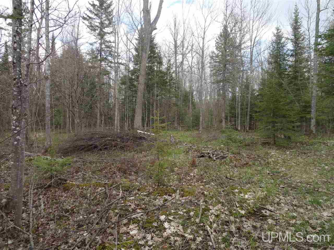 East Shore Road Marenisco, MI 49947 - Photo 9 of 12