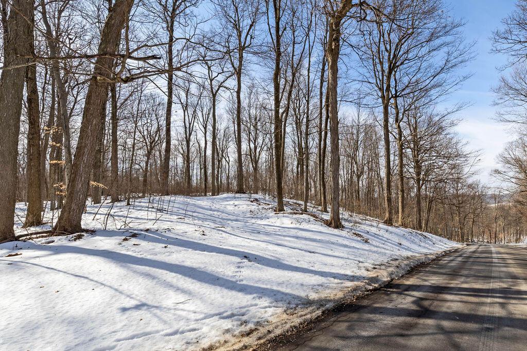 0 Eaglenest Road West Liberty, OH 43357 - Photo 3 of 45