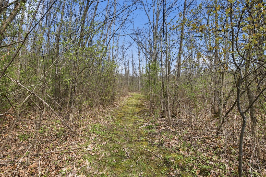 2555 A Willett Rd Extension Jerusalem, NY 14478 - Photo 18 of 29
