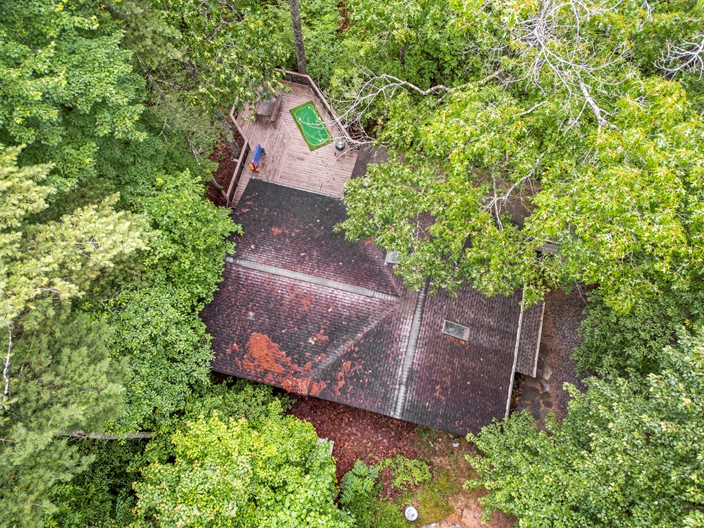 87 Rustic Ridge Road Blue Ridge, GA 30513 - Photo 3 of 23 a view of a yard with plants and large trees