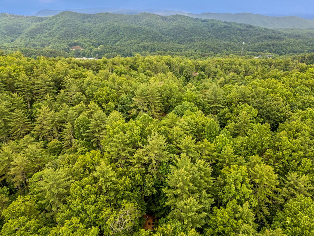 87 Rustic Ridge Road Blue Ridge, GA 30513 - Photo 5 of 23 a view of a field with an ocean view