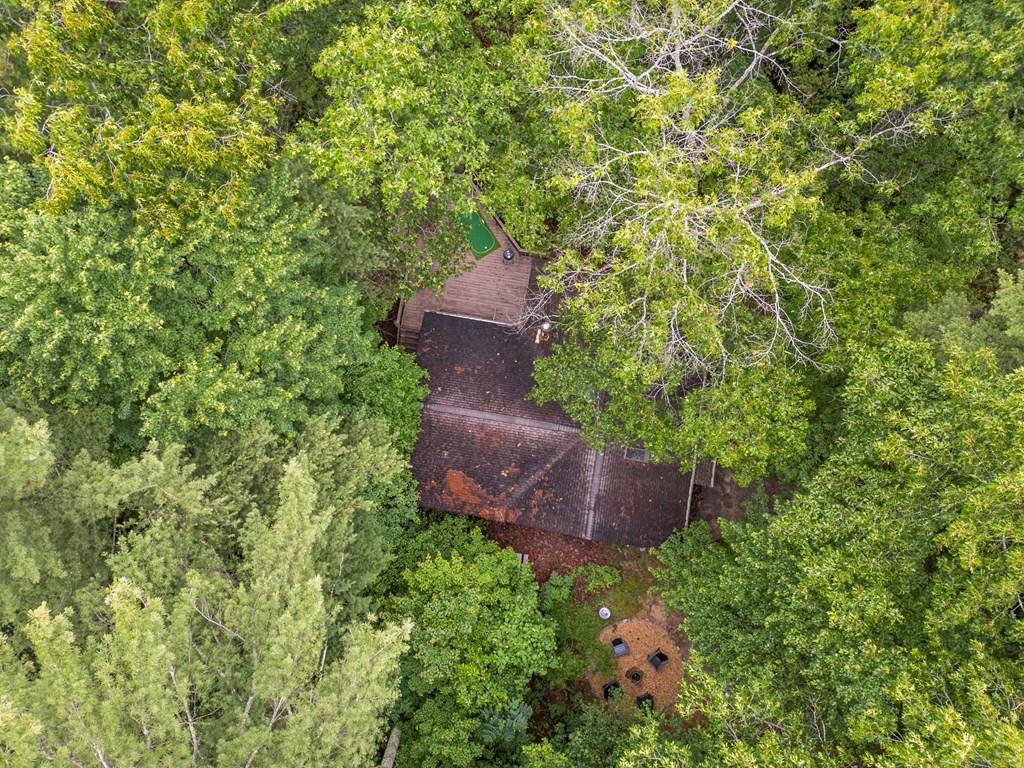 87 Rustic Ridge Road Blue Ridge, GA 30513 - Photo 6 of 23