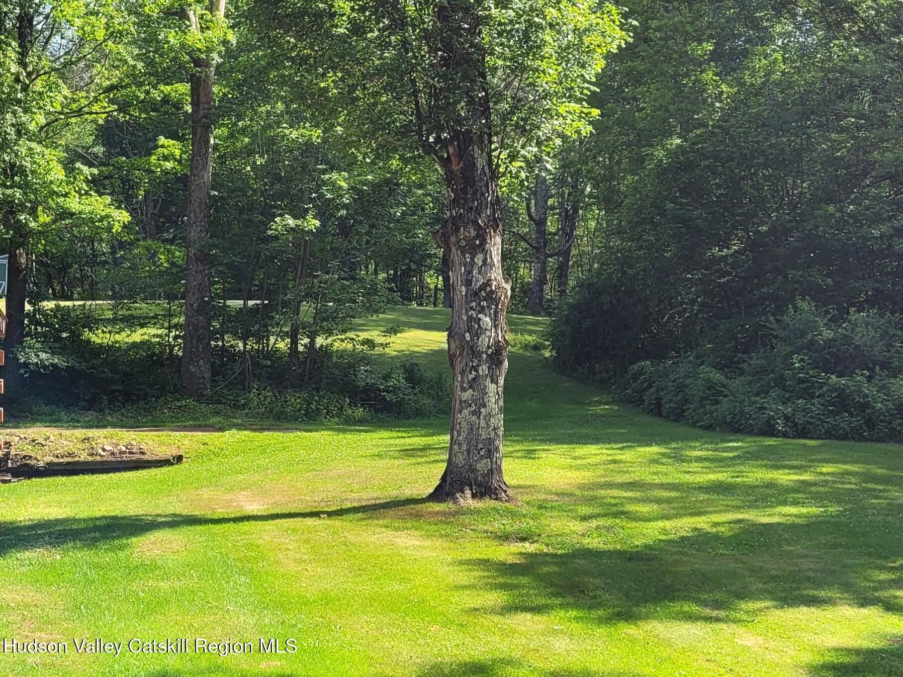 119 Brown House Road Gilboa, NY 12076 - Photo 24 of 39 20260702_162843