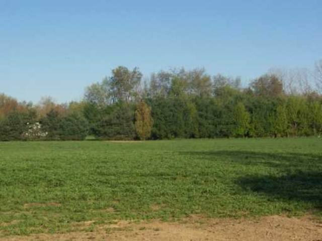 2 Haynes Road Stockbridge, MI 49285 - Photo 1 of 1 Photo 1