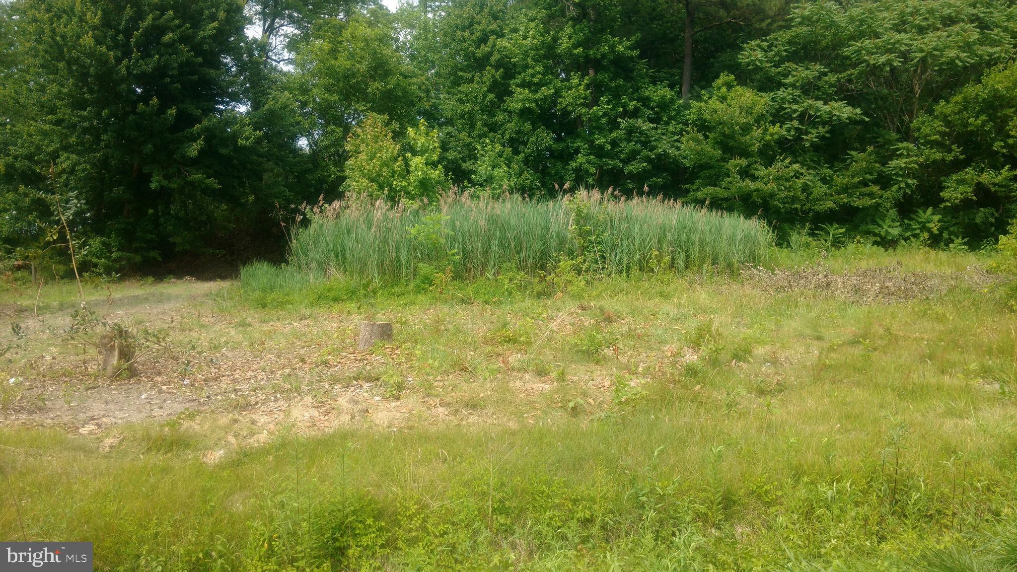 28401 Fisher Road Milton, DE 19968 - Photo 2 of 3 Gallery Image 2