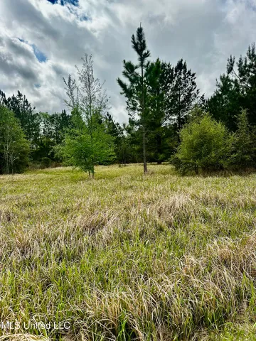 $77,040 | 613 Hwy Lucedale Ms 39452, Lucedale, MS 39452