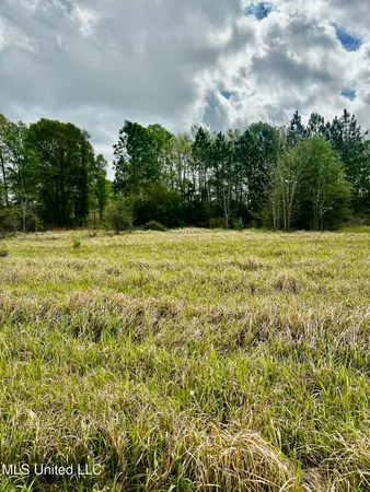 $77,040 | 613 Hwy Lucedale Ms 39452, Lucedale, MS 39452