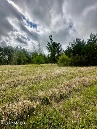$77,040 | 613 Hwy Lucedale Ms 39452, Lucedale, MS 39452