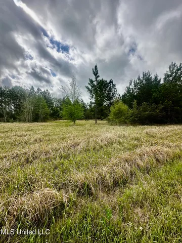 $77,040 | 613 Hwy Lucedale Ms 39452, Lucedale, MS 39452