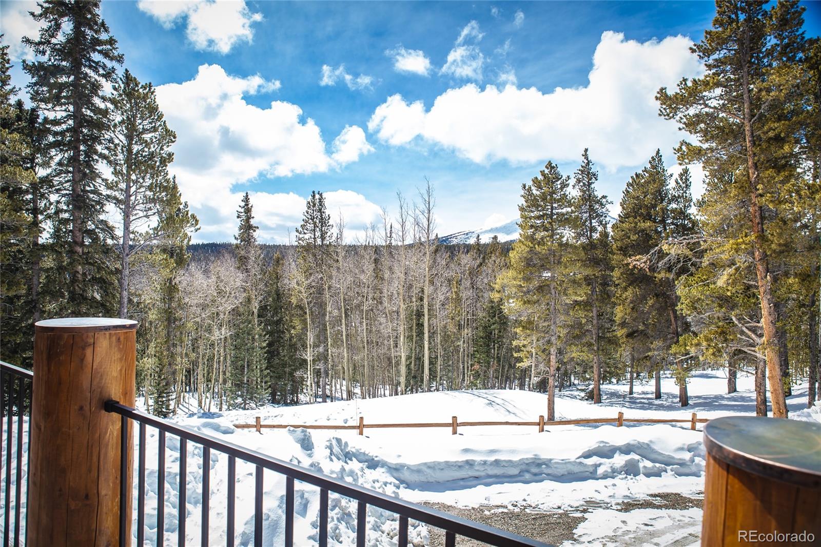 806 Guymard Road Fairplay, CO 80440 - Photo 44 of 50 Gallery Image 44