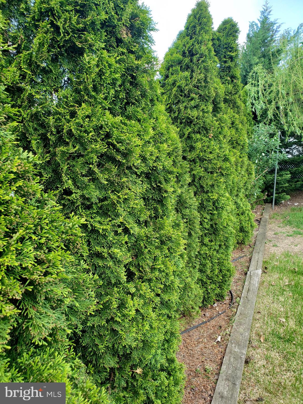 200 Arch Street Delran, NJ 08075 - Photo 5 of 20 Driveway side of Home.