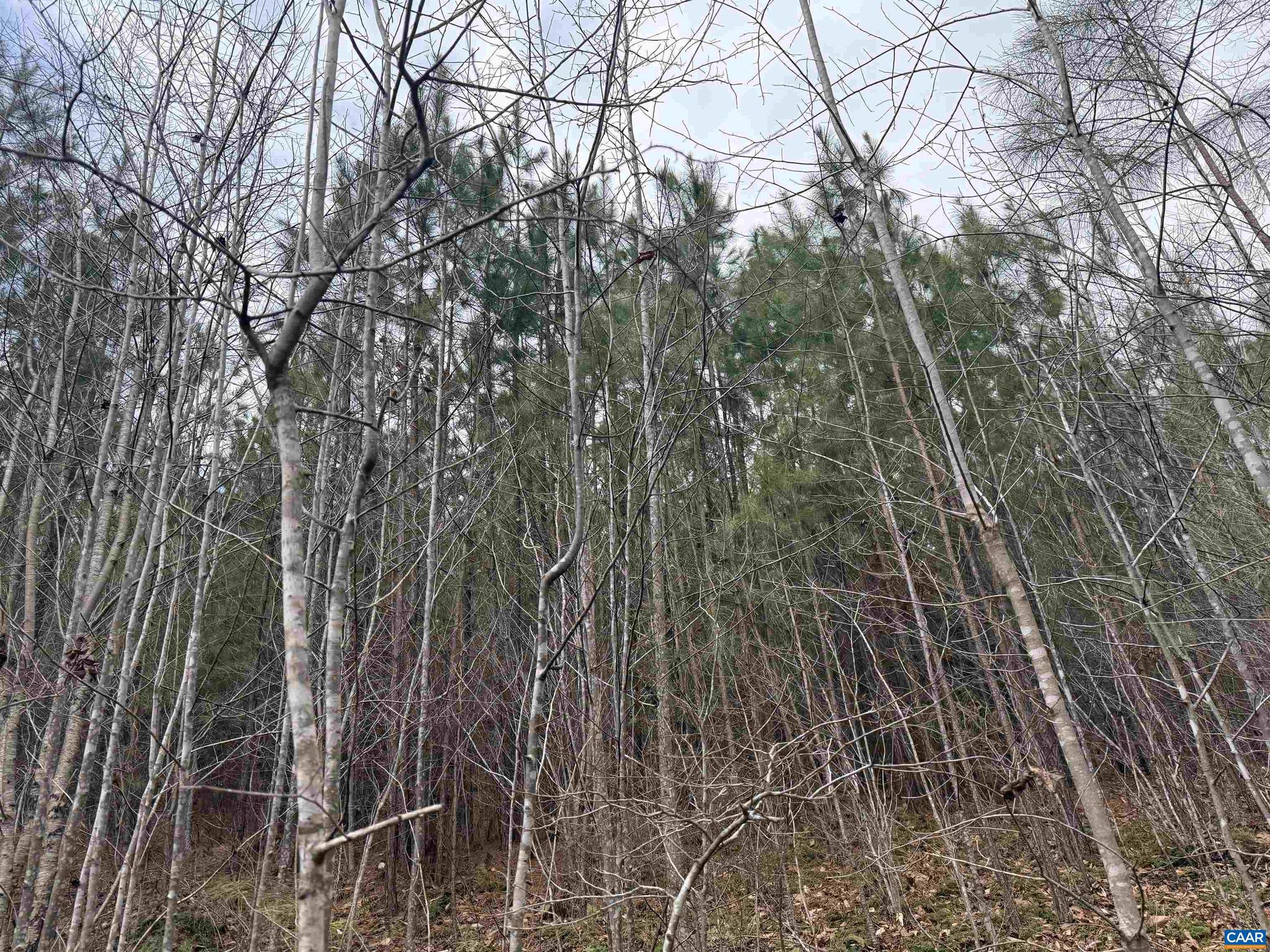 C2 Hardware Road, Unit C2 Arvonia, VA 23004 - Photo 10 of 13