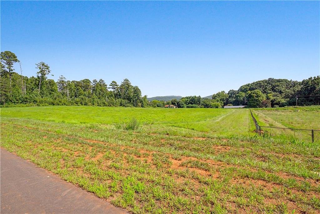 118 Palisade Drive Rydal, GA 30171 - Photo 3 of 10 Gallery Image 3