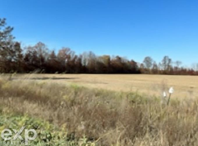 Springborn Road Casco, MI 48064 - Photo 4 of 14