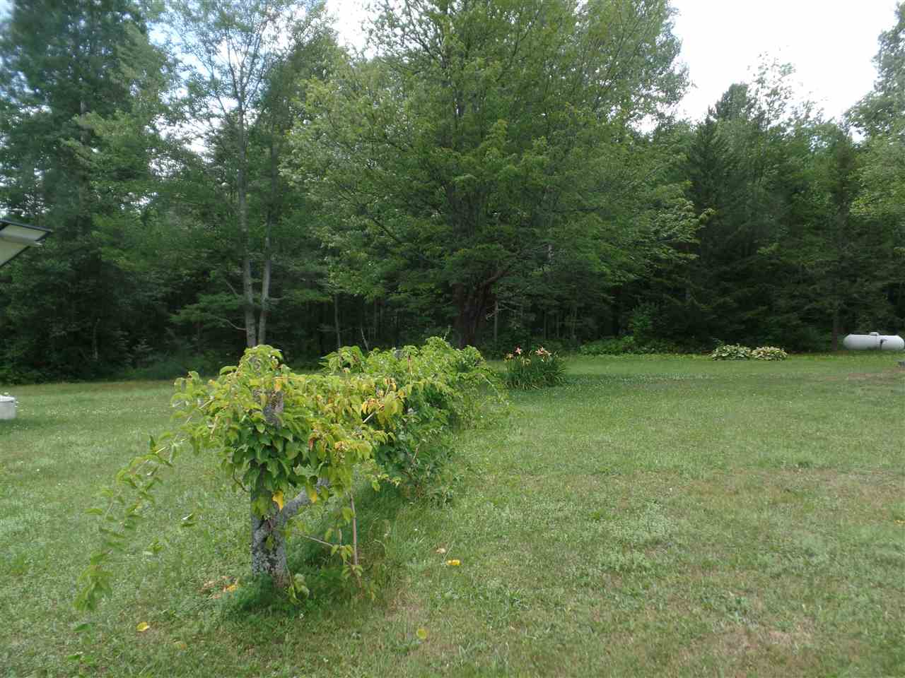 1025 Thurston Hill Road Roxbury, VT 05669 - Photo 33 of 40