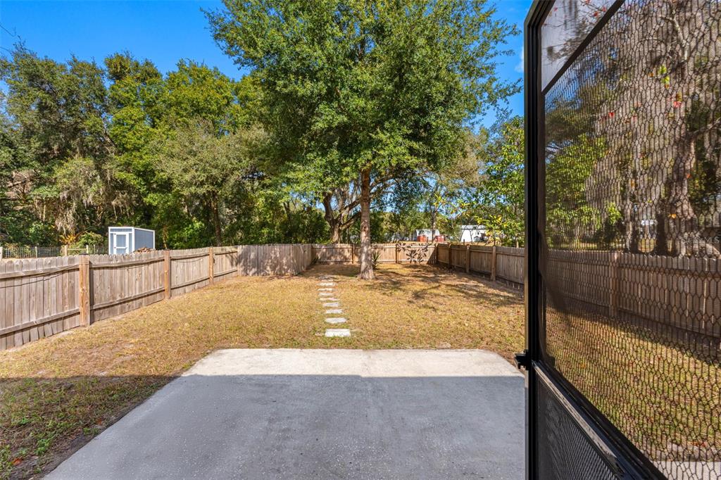33237 Chancey Road Wesley Chapel, FL 33543 - Photo 36 of 59 a view of a backyard