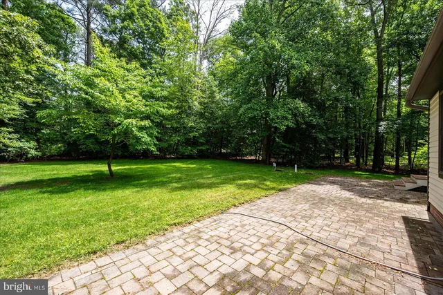a view of a trees in a park