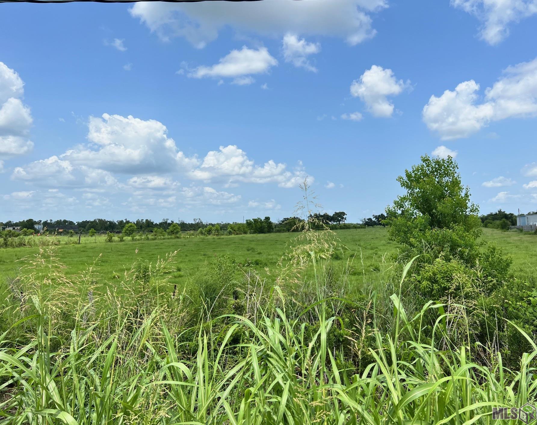 13233 East Main Street Larose, LA 70373 - Photo 5 of 8