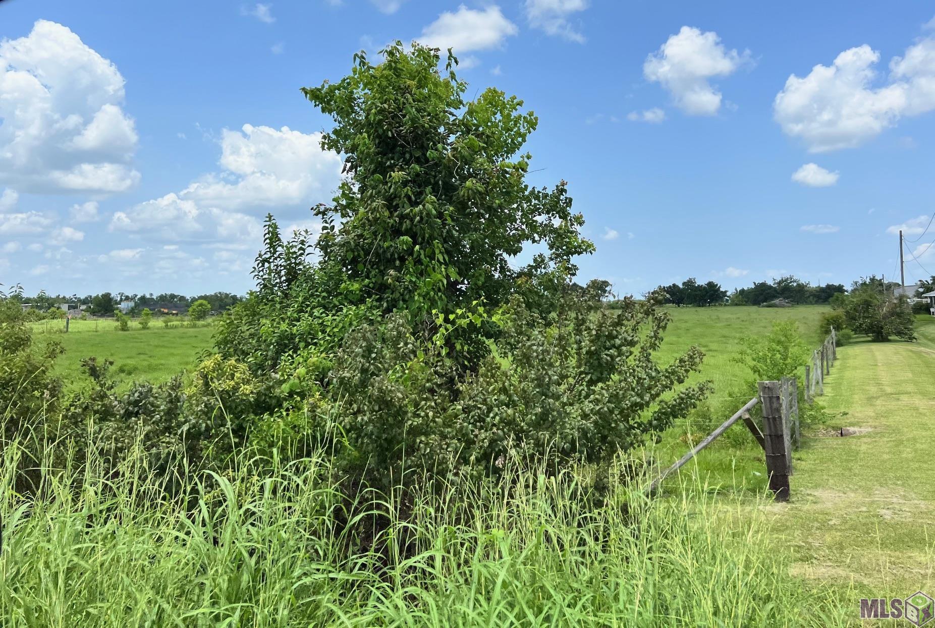 13233 East Main Street Larose, LA 70373 - Photo 8 of 8