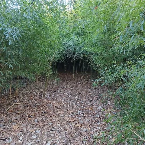 $8,975 | 241 Nacoochee Drive, Woodstock, GA 30188