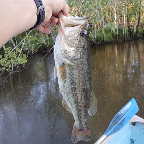 $8,975 | 241 Nacoochee Drive, Woodstock, GA 30188