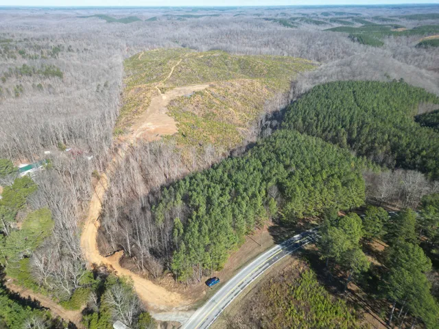 a view of a yard with plants