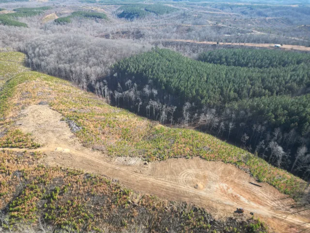 a view of a yard with an outdoor space