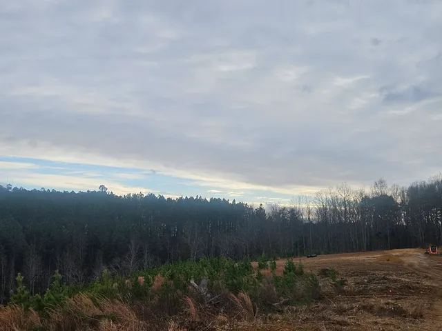 a backyard of a house