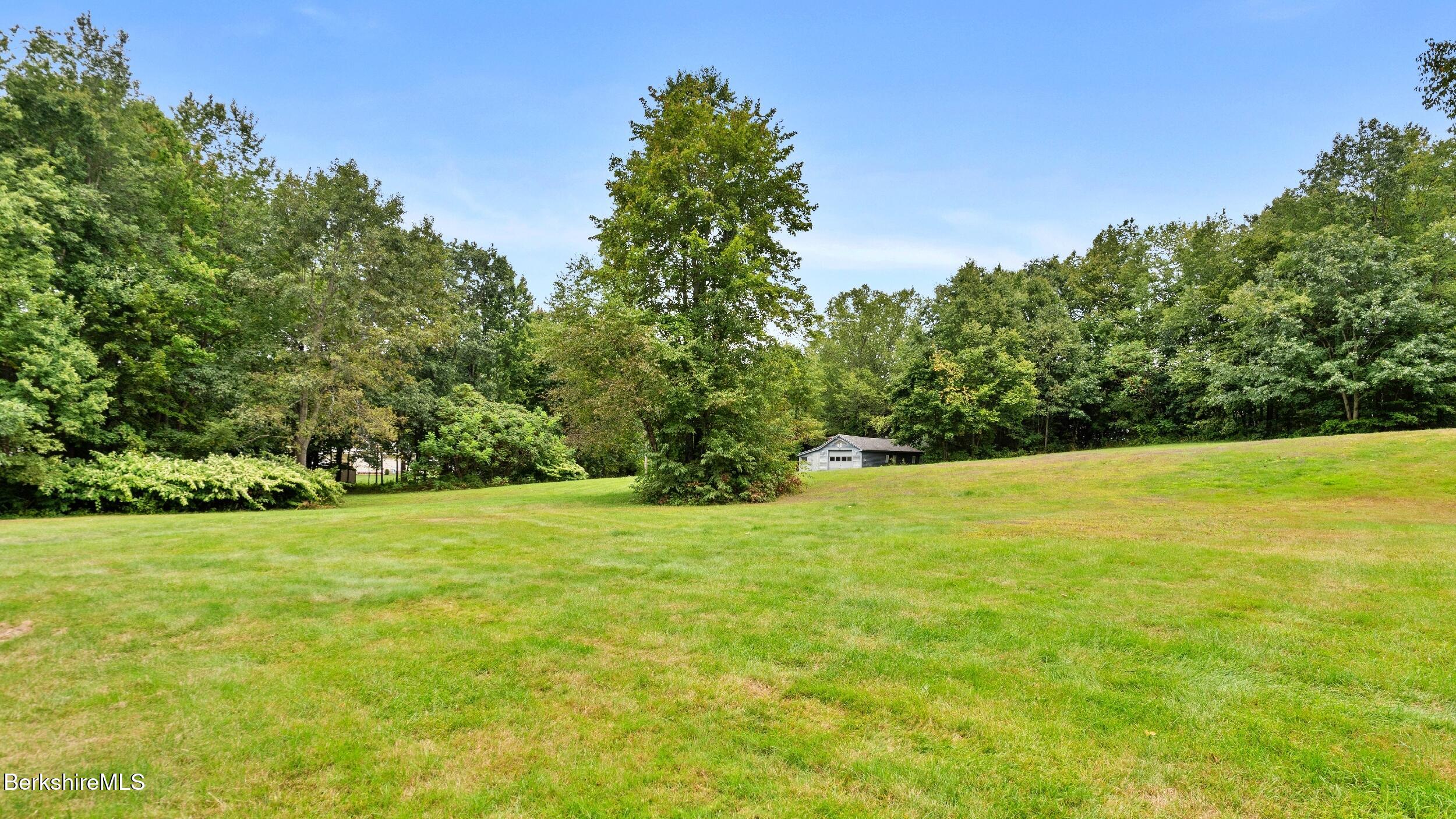 a view of a field with an trees