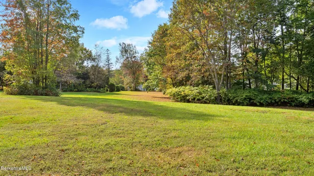 a view of a yard with a trees